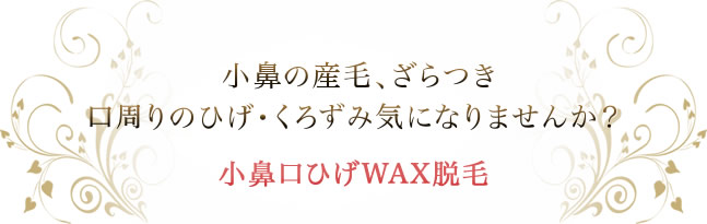 小鼻・口ひげWAX脱毛